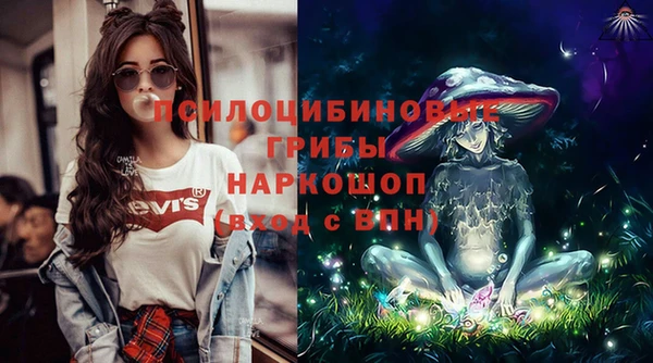 дмт Сосновоборск
